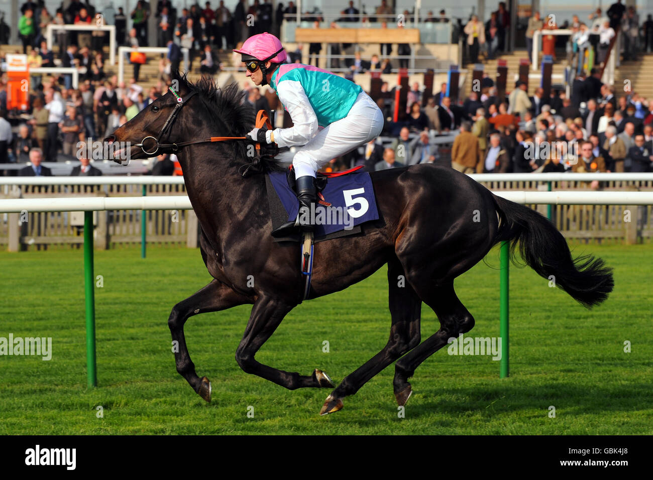 Horse Racing Craven Meeting Day One Newmarket Stock Photo Alamy