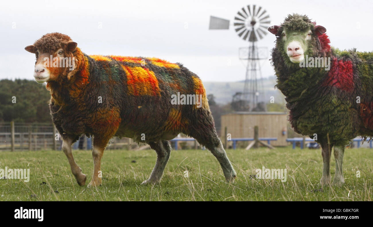 East Links Family Park Hi res Stock Photography And Images Alamy