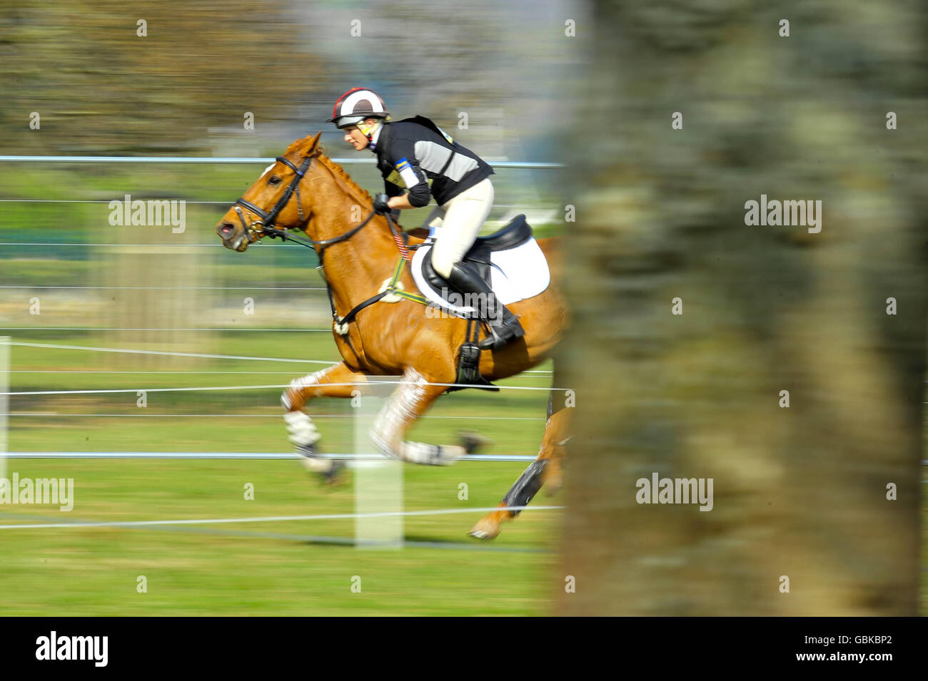 Zara Phillips and her horse Secret Legacy during the Cross Country event at Powderham Castle Horse Trials in Exeter. Stock Photo
