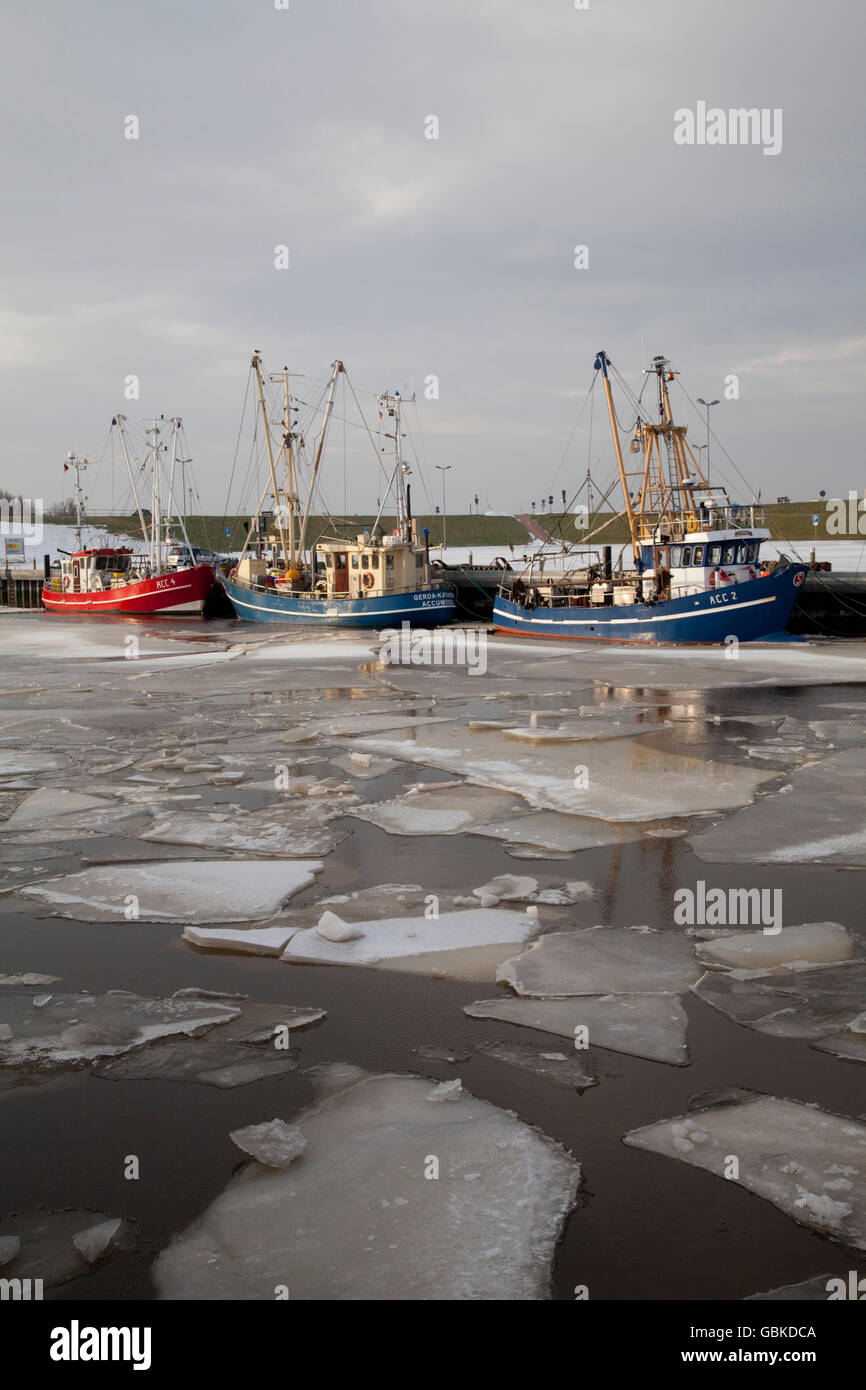 Fishing boats in the harbour with ice floes, Dornumersiel, East Frisia, Lower Saxony, North Sea Stock Photo