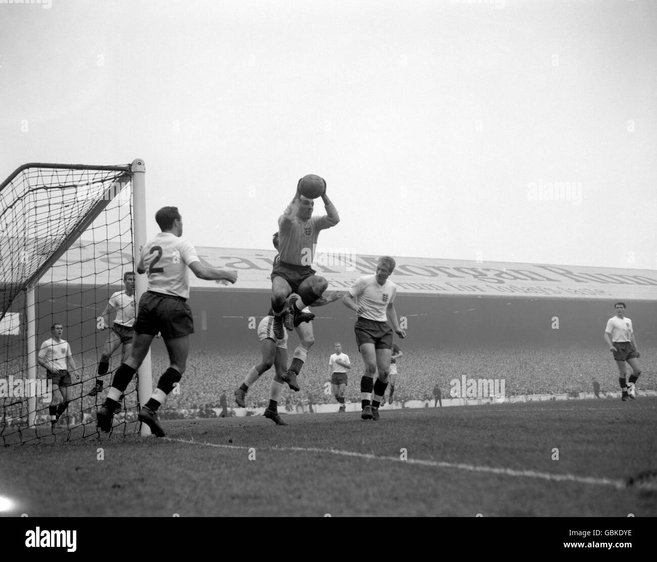 England goalkeeper ron springett hires stock photography and images