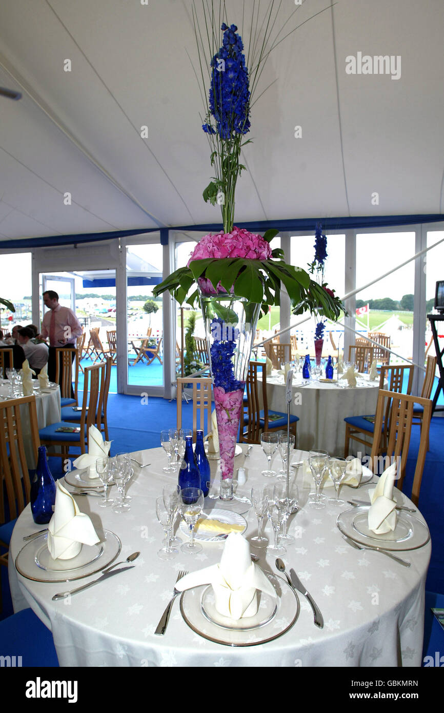 Horse Racing Epsom Races Vodafone Oaks Day Stock Photo