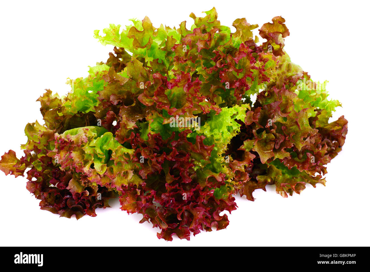 Red Lettuce Isolated on White Background Stock Photo - Alamy