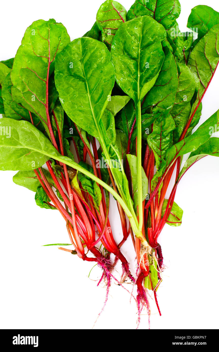 Beetroot leave hi-res stock photography and images - Alamy