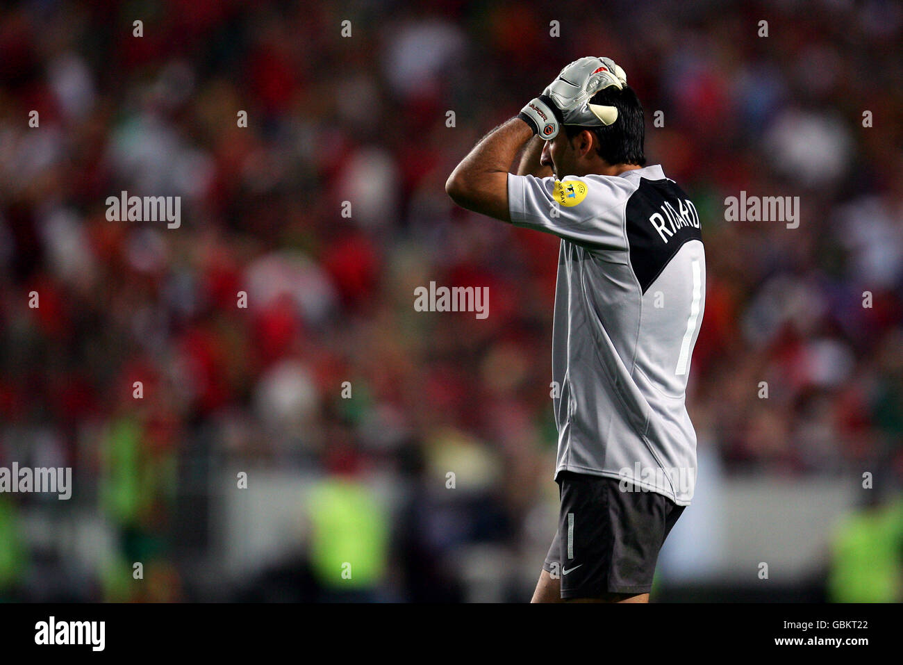 Despair for Portugal goalkeeper Ricardo as his side lose 1-0 to Greece Stock Photo
