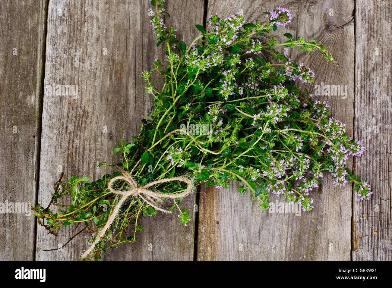 Flowers and Stems of Thyme Stock Photo
