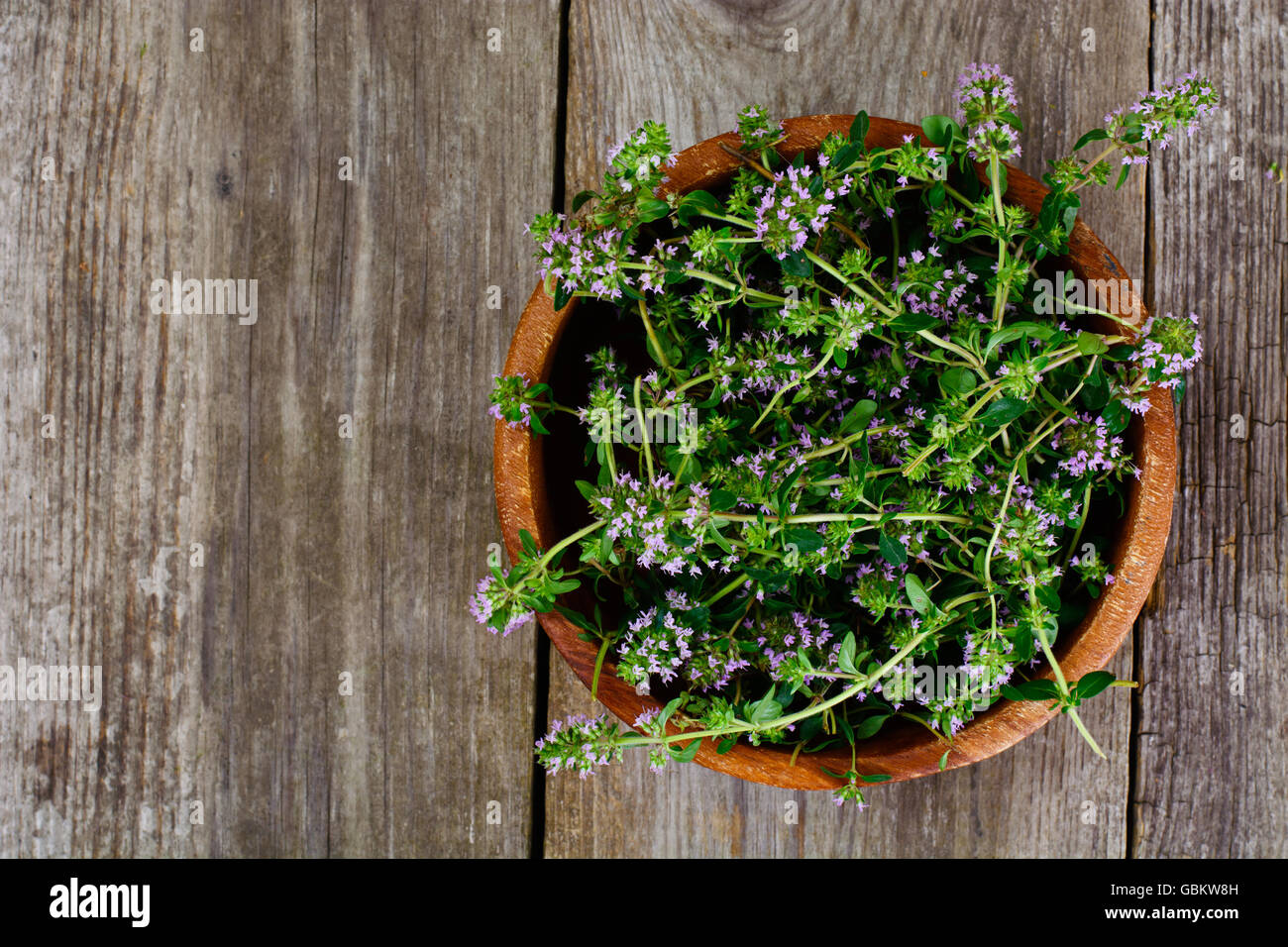 Flowers and Stems of Thyme Stock Photo Alamy