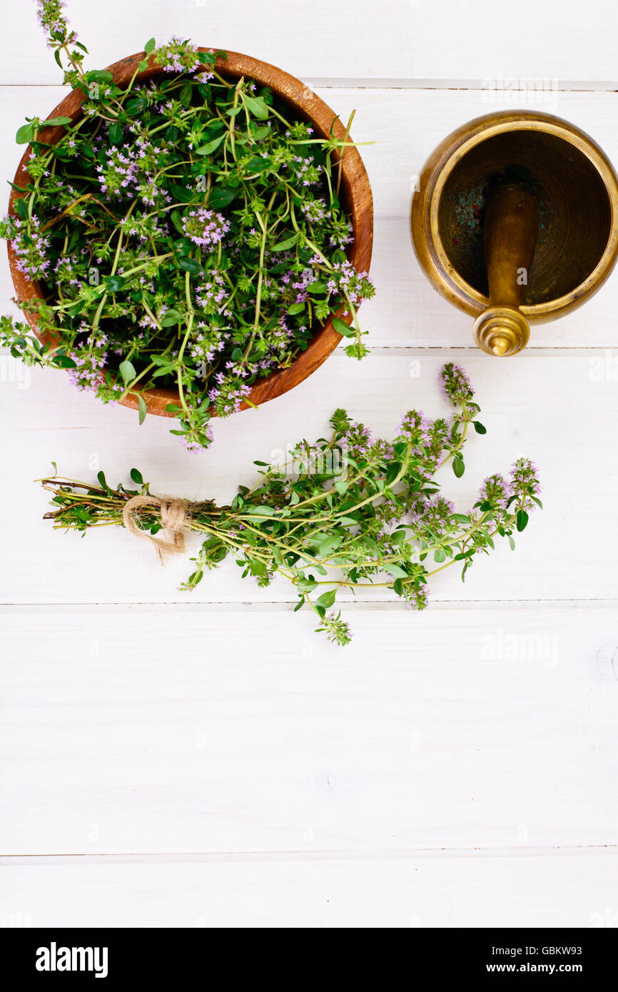 Flowers and Stems of Thyme Stock Photo Alamy
