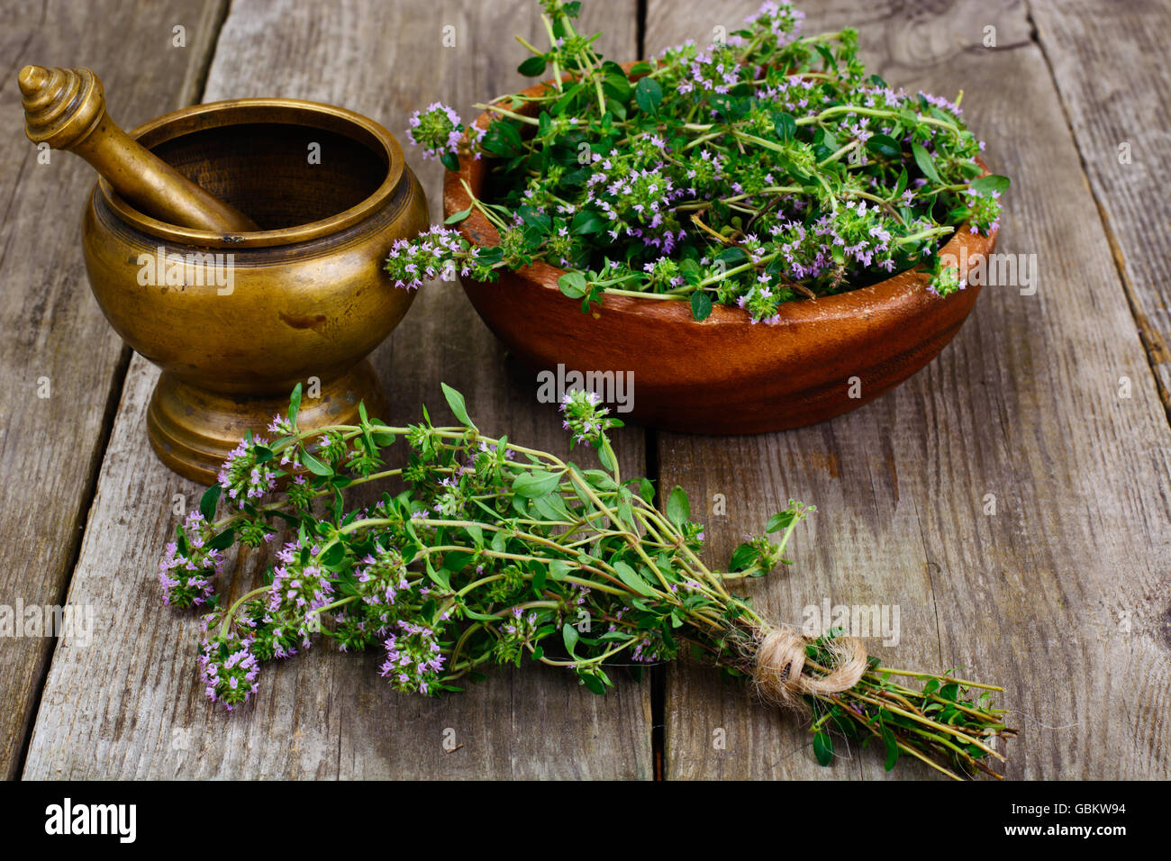Flowers and Stems of Thyme Stock Photo Alamy