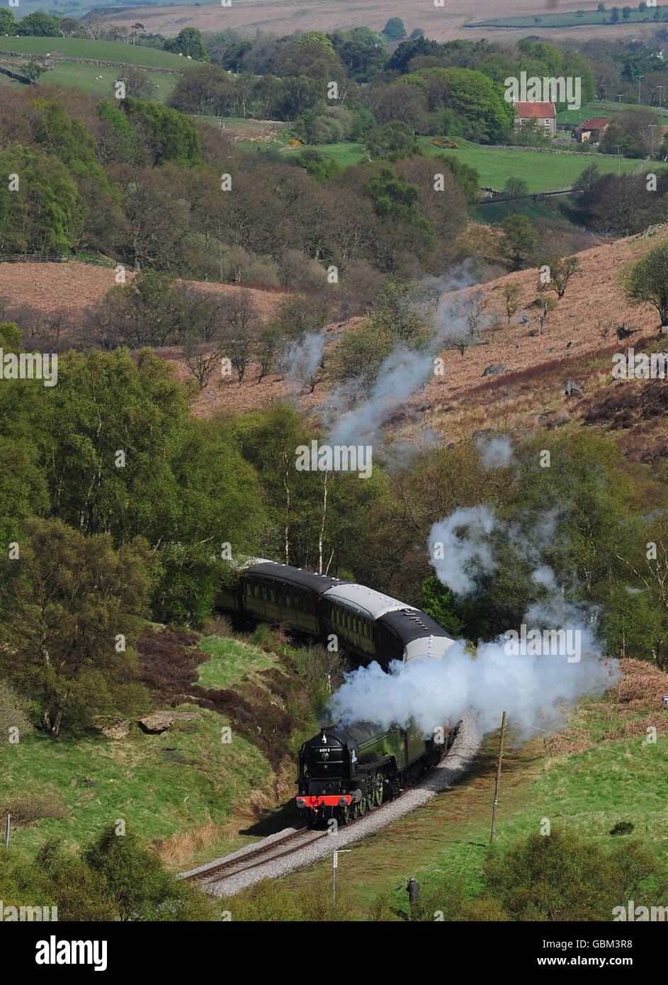 The Peppercorn class A1 Pacific 60163 Tornado, the first new mainline steam locomotive built in Britain for almost 50 years, travels along the North Yorkshire Moors Railway at Fen Bog near Goathland during the 2009 Steam Gala which is taking place until Sunday. Stock Photo