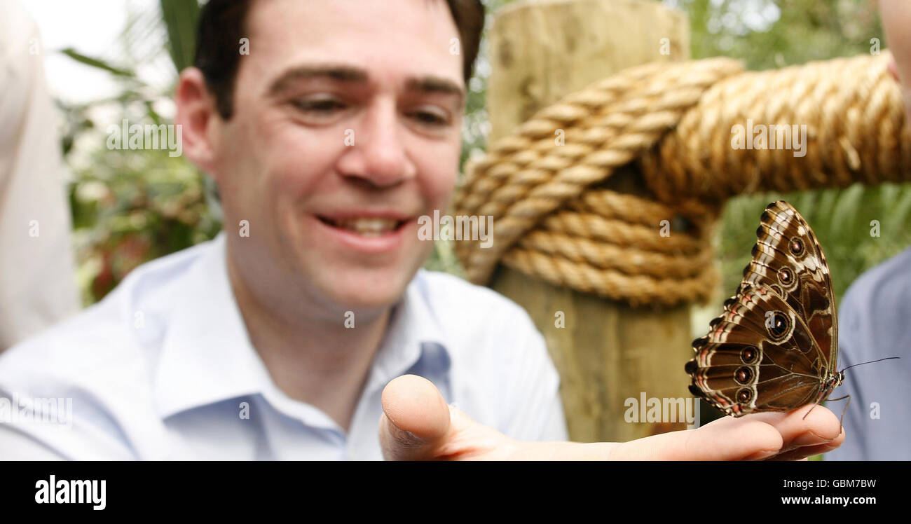 New butterfly house at Chester Zoo Stock Photo Alamy