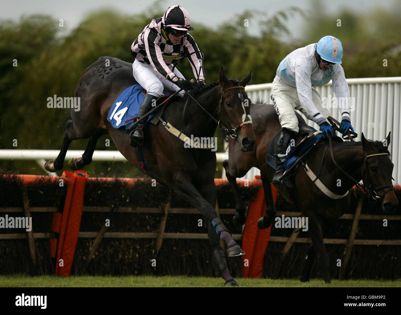 Sylroy ridden by jockey Peter Toole (L) jumps the last fence to win the Wye Valley Brewery Mares' Novices' Hurdle Race at Hereford Racecouse Stock Photo