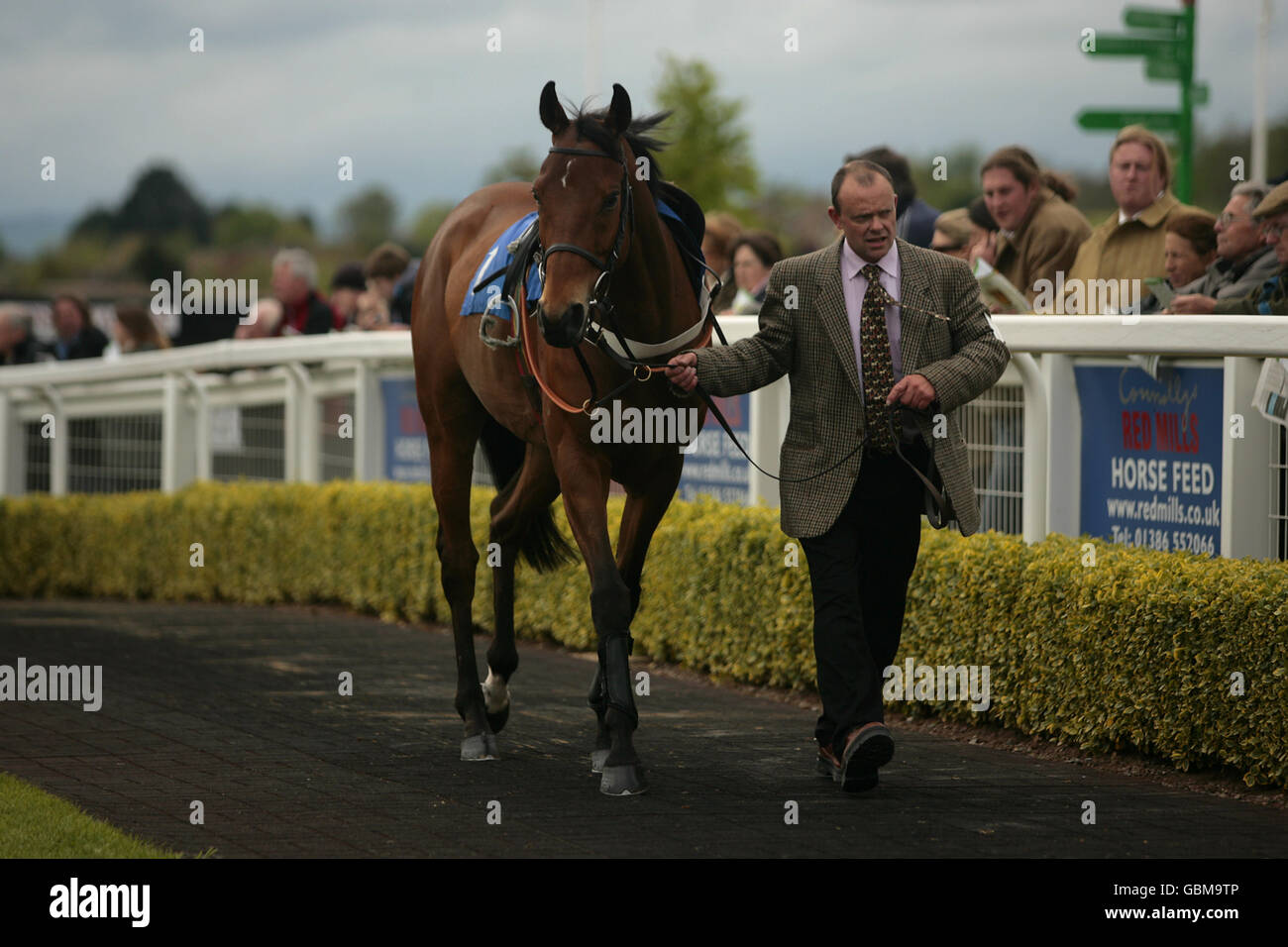 Horse Racing - Hereford Racecourse - Wye Valley Brewery Day Stock Photo