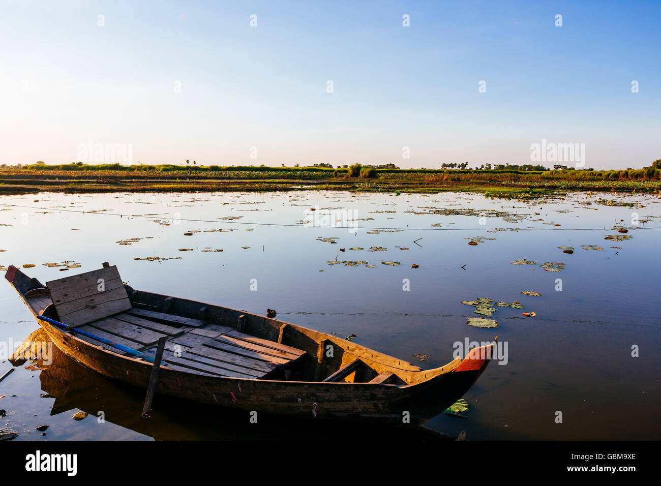 The fisherman boat at lotus farm lake in Cambodia at sunset Stock Photo