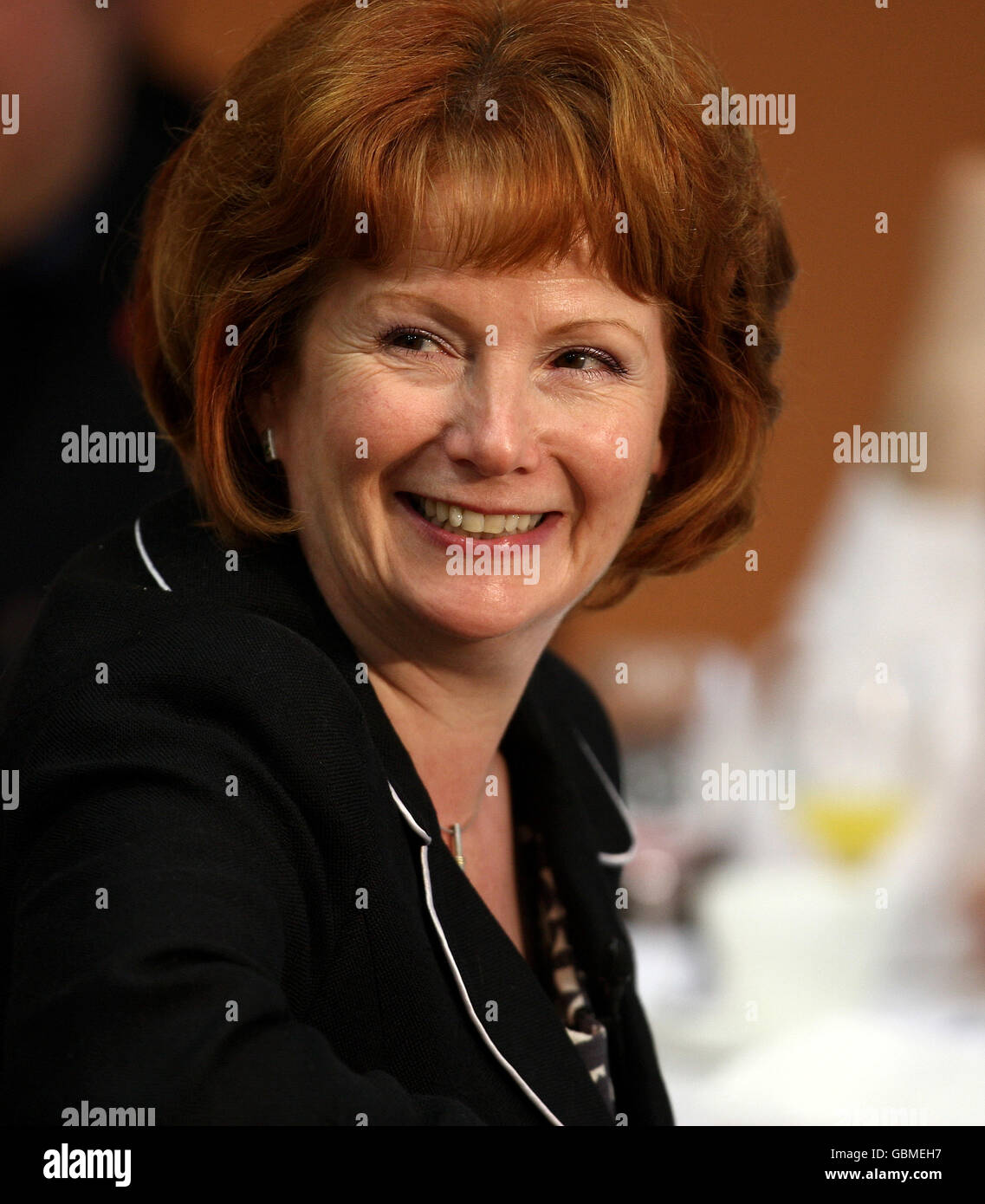 European Election 2009 Stock Photo Alamy