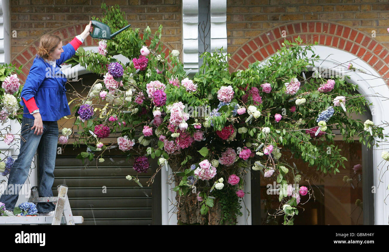 Rebecca Law from McQueen's florist waters a large basket of flowers outside of the Sloane Street branch of Cartier as the Sloane Shopping Area in London is transformed into a large-scale floral fashion competition for Sloane in Bloom, which is judged by the Royal Horticultural Society and is co-ordinated each year in support of the annual RHS Chelsea Flower Show. Stock Photo