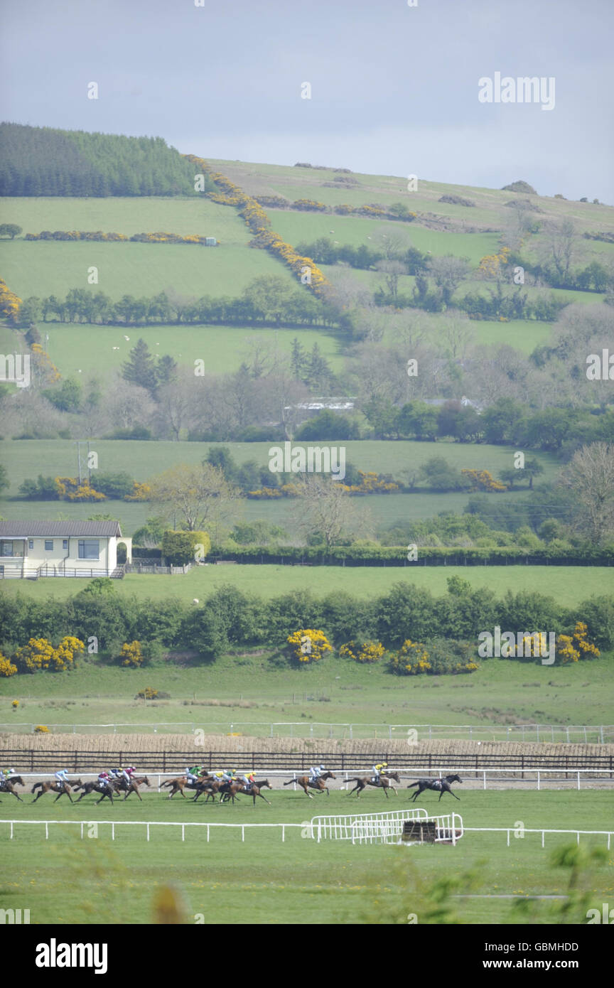 A general view of the countryside as a stray horse leads the pack