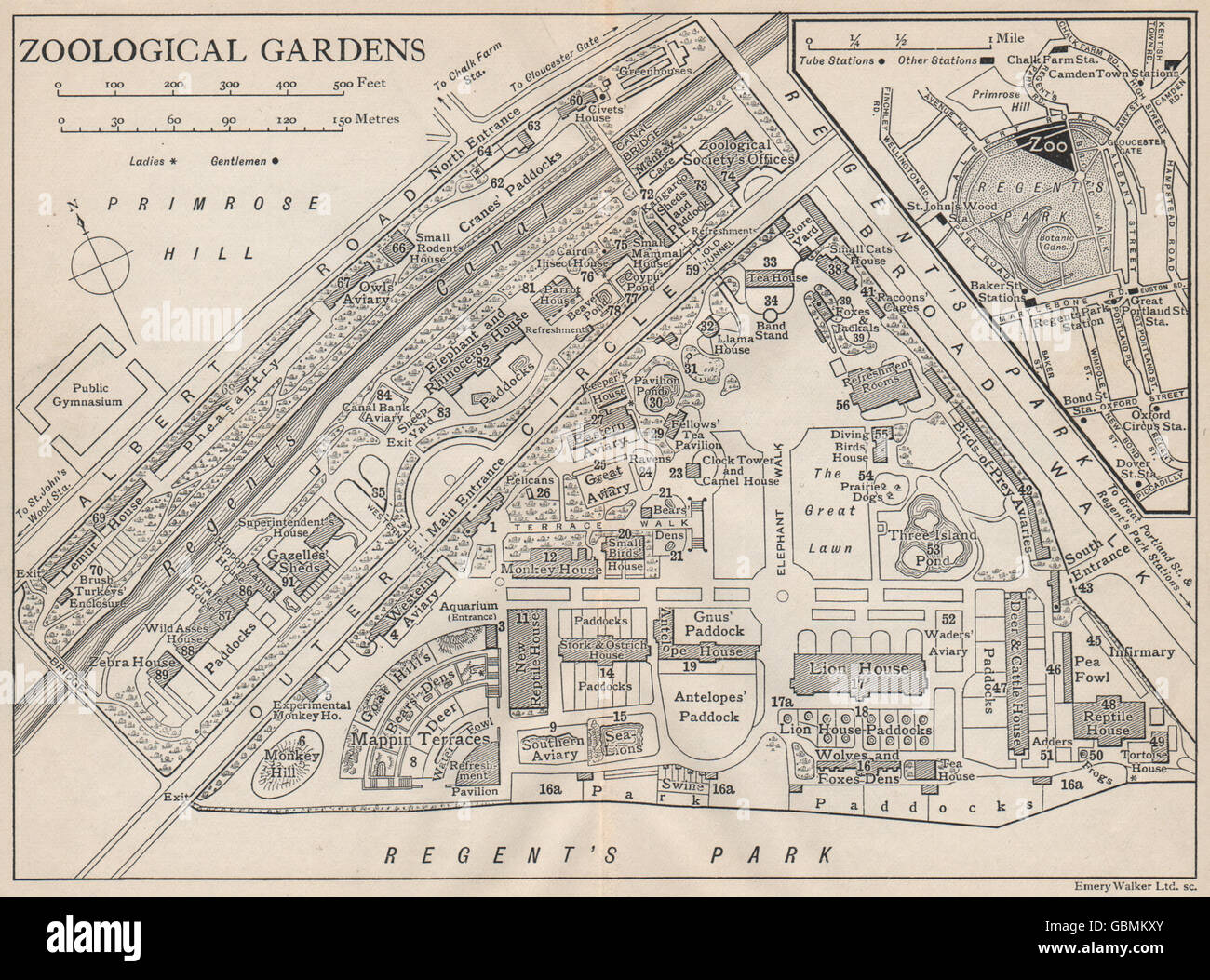 LONDON ZOOLOGICAL GARDENS. Vintage map plan. Regent's Park, 1927 Stock Photo