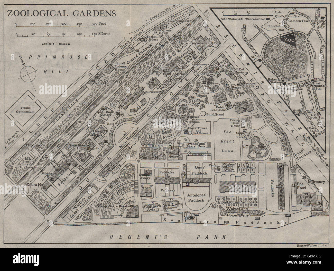 LONDON ZOOLOGICAL GARDENS. Vintage map plan. Regent's Park, 1919 Stock Photo