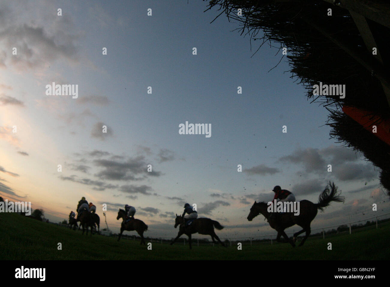 Huntingdon Races Huntingdon silhouette hi-res stock photography and images - Alamy