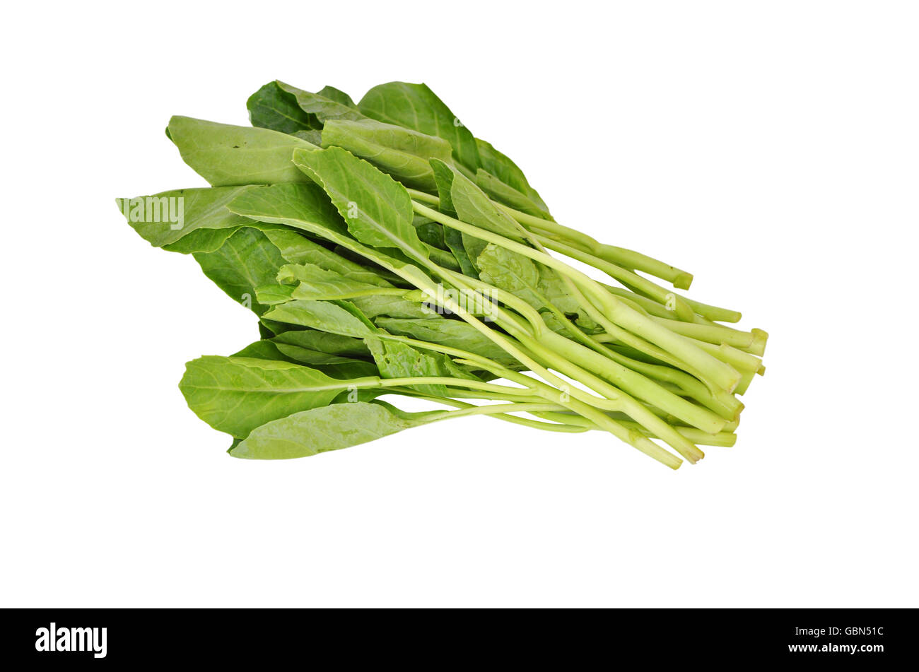Chinese broccoli vegetables Stock Photo