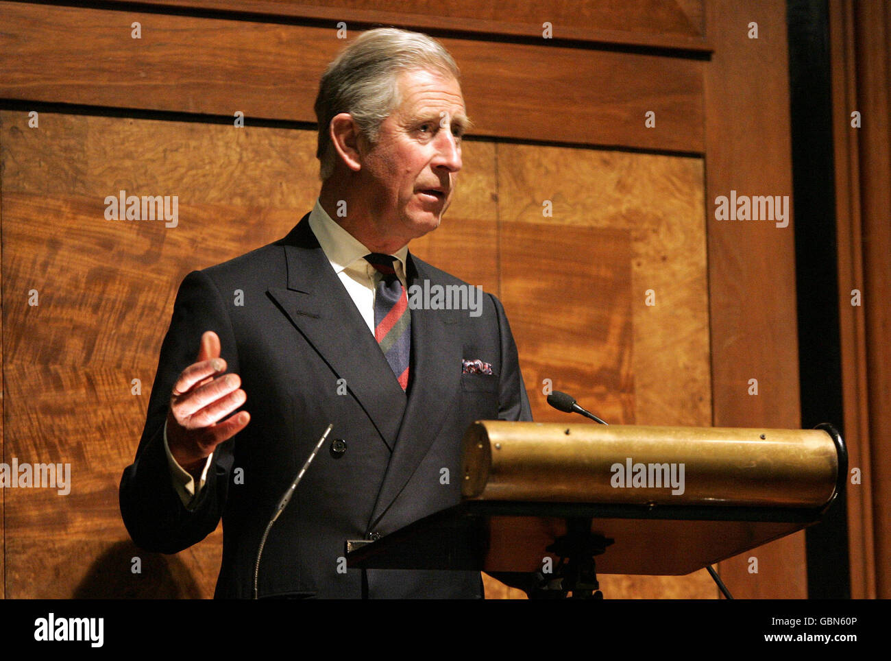 The Prince of Wales delivers his speech at the 2009 Royal Institute of British Architects (RIBA) Trust in London. Stock Photo