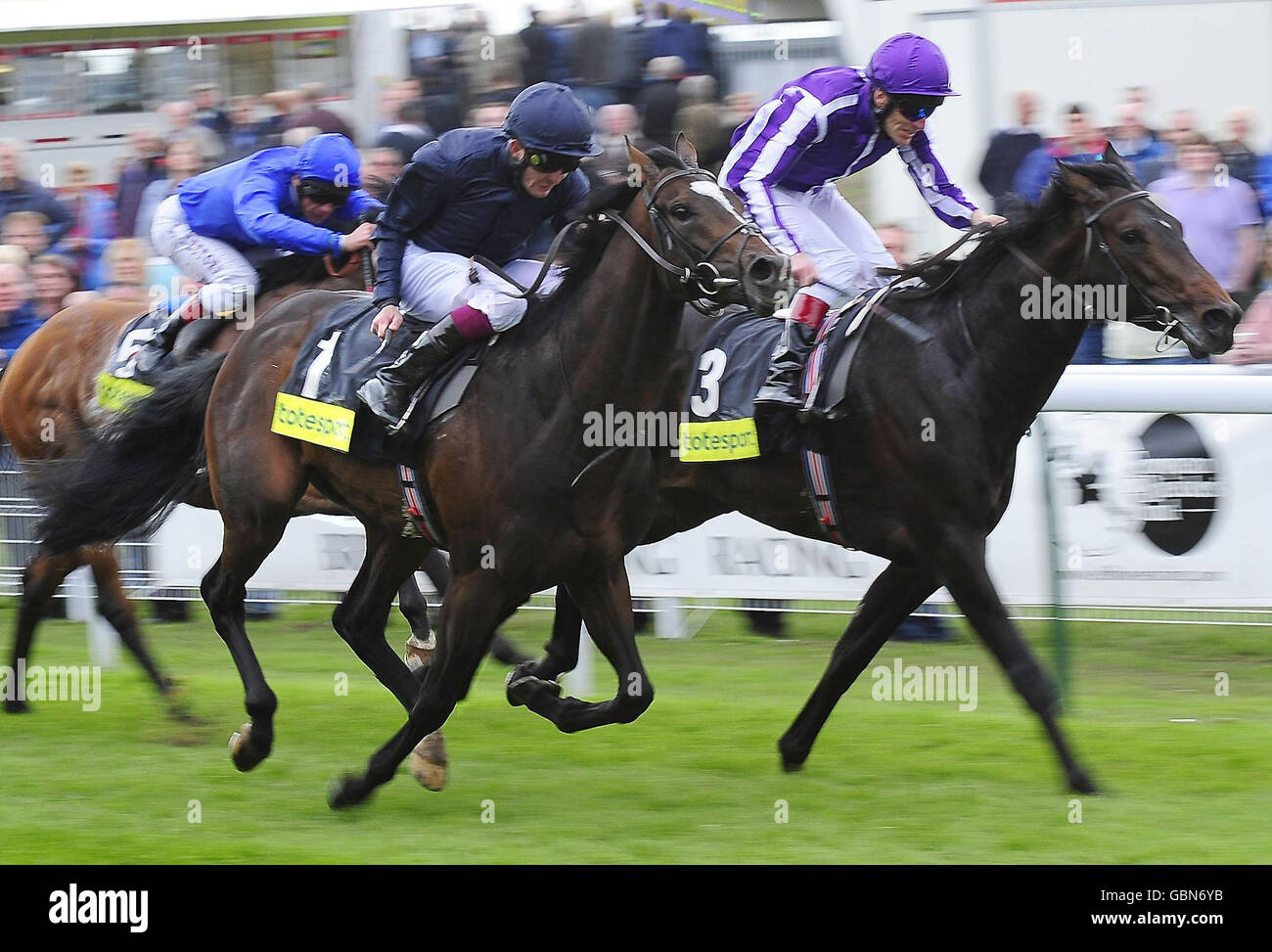 Black Bear Island ridden by Colm O'Donoghue (number 1) beats stablemate Freemantle ridden by Johnny Murtagh (right) to win the Totesport.com Dante Stakes at York Racecourse. Stock Photo