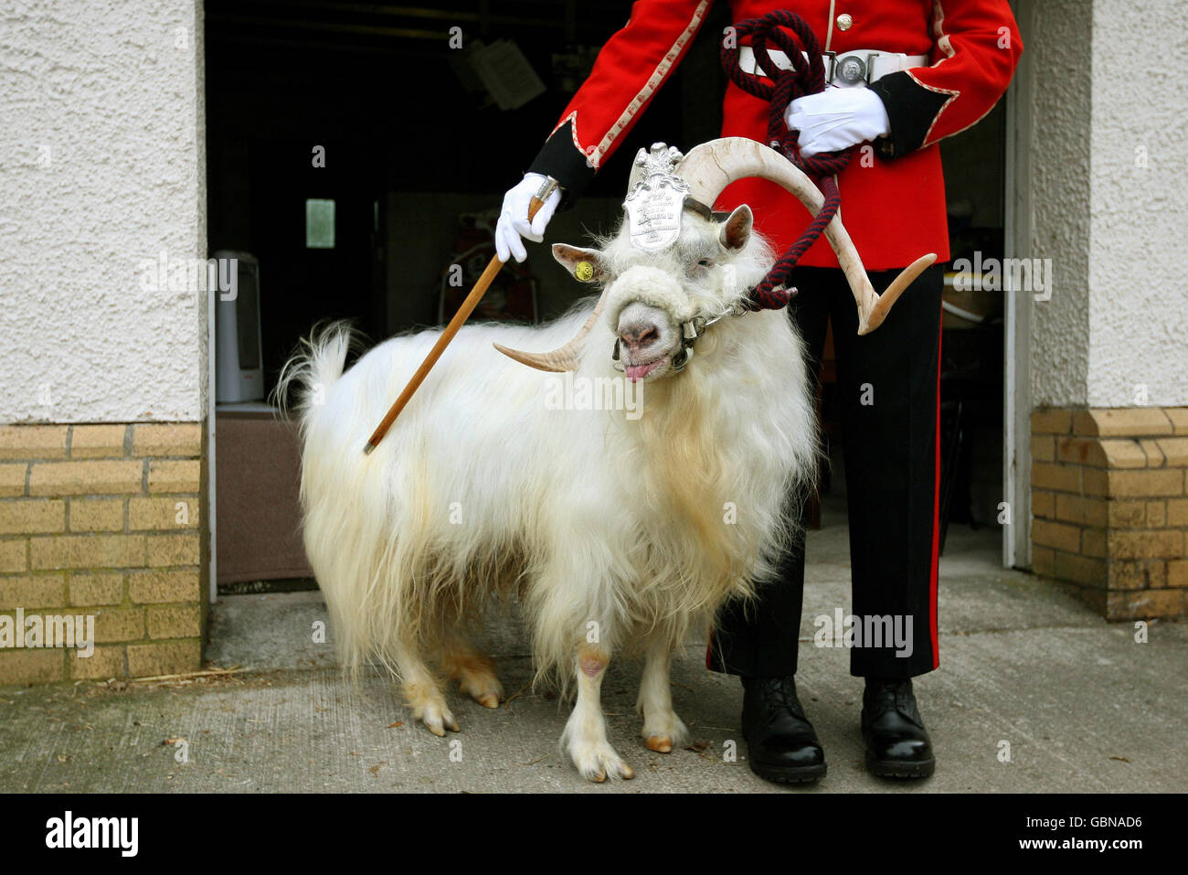 Half man half goat hires stock photography and images Alamy