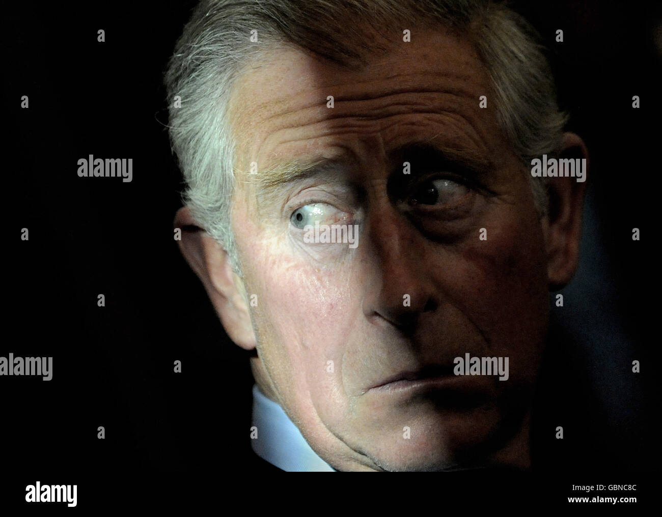 A shaft of sunlight falls on the face of The Prince of Wales while attending the opening of the Garden and Cosmos: The Royal Paintings of Jodhpur exhibition at The British Museum in London. Stock Photo