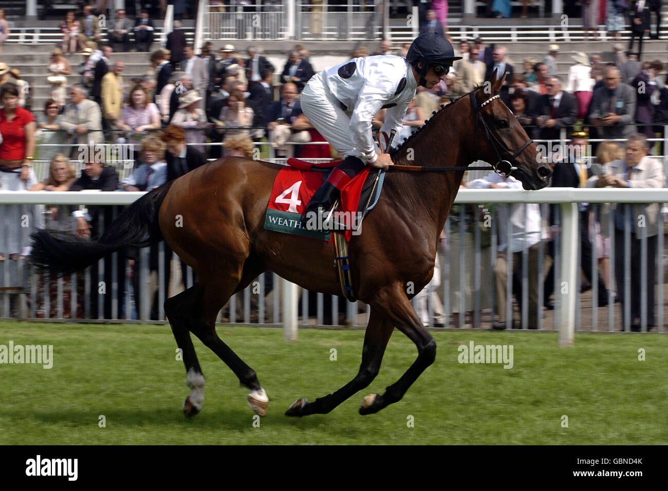 Horse Racing York Races. Jockey Willie Ryan goes to post on Dancing