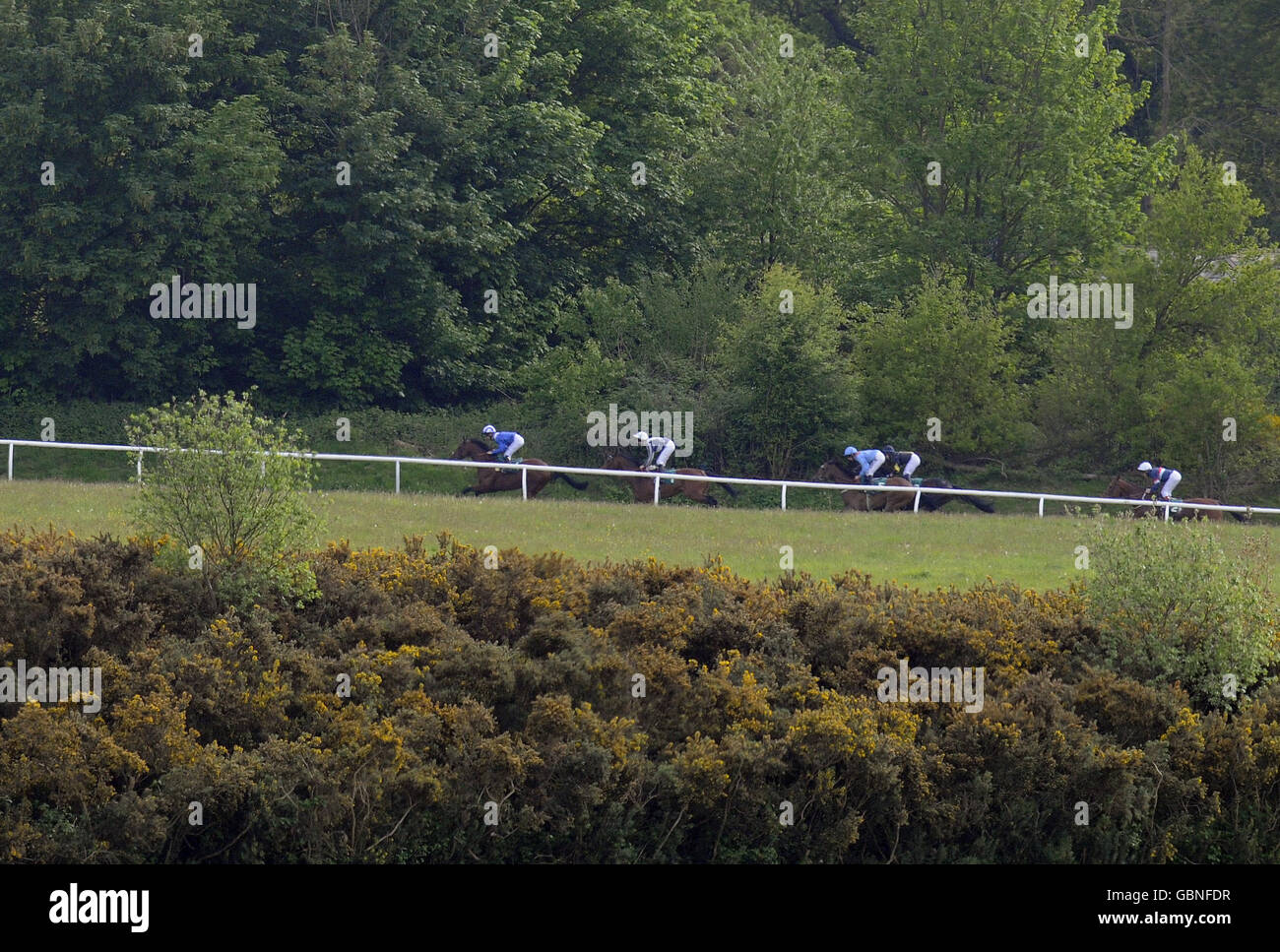 Runners and riders climb the hill at Lingfield Park Racecourse. Stock Photo