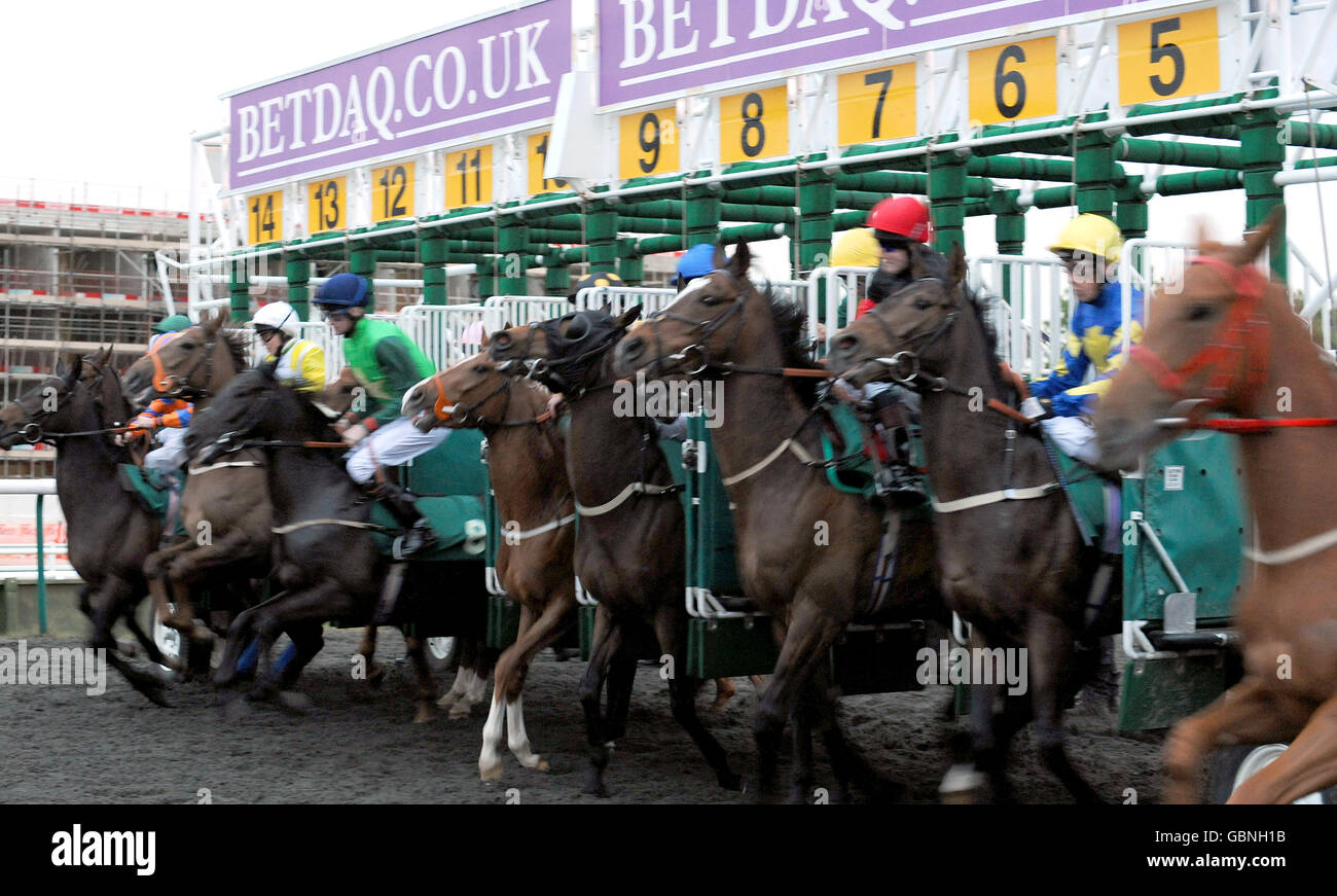 Horses race at lingfield race course hi-res stock photography and ...