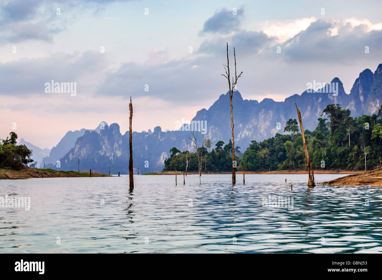 Dead trees in water at dusk on Cheow Lan Lake, Khao Sok National Park, Surat Thani Province, southern Thailand Stock Photo
