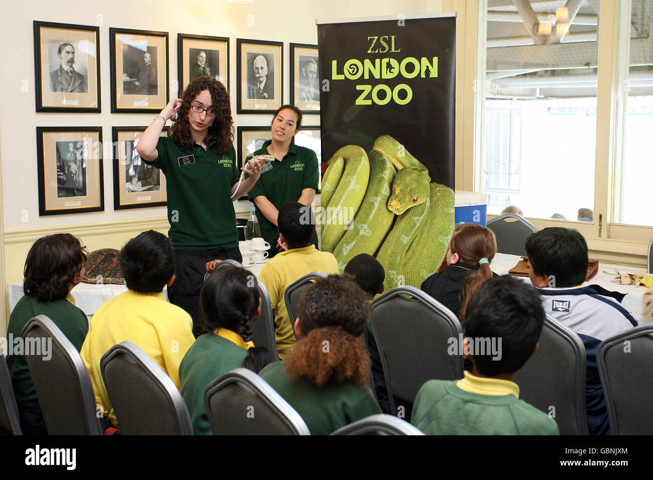 Cricket madagascan hissing cockroach gv general view hi-res stock ...