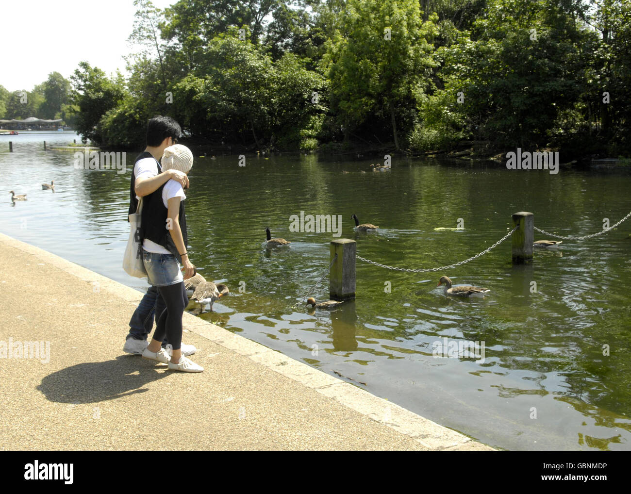 A couple feeds the ducks in the sun in Hyde Park, London. Stock Photo