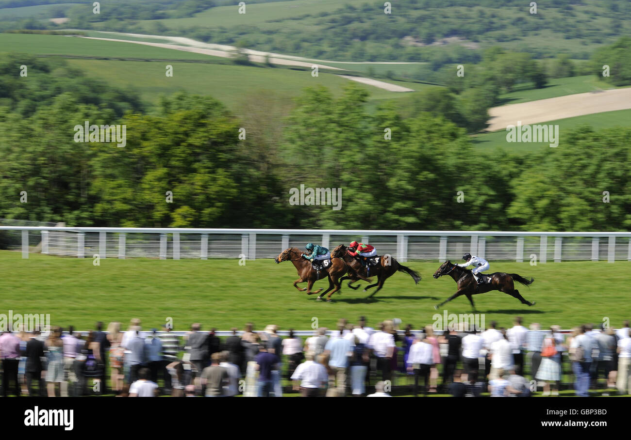 Fremont and Richard Hughes (red) challenge late to catch Rakaan and Jamie Spencer to win The Nick Brooks EBF Maiden Stakes at Goodwood Racecourse. Stock Photo