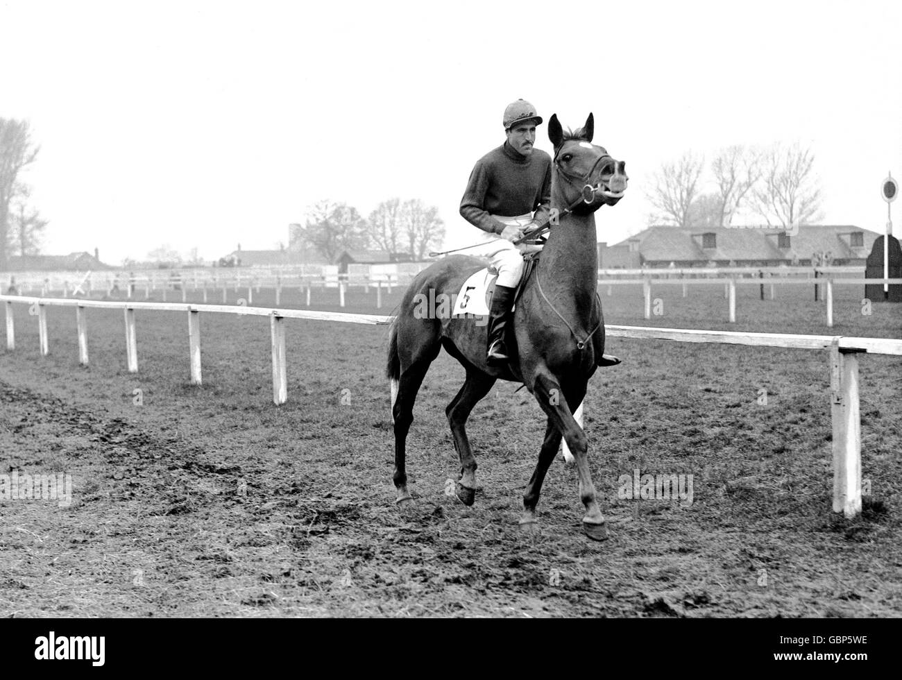 Horse Racing - Newbury. Surprise Packet II, the Duque de Alburquerque up Stock Photo