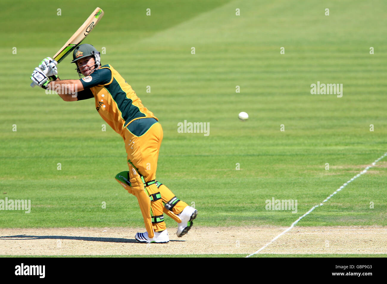 Cricket twenty 20 bat grill helmet grass full length hires stock