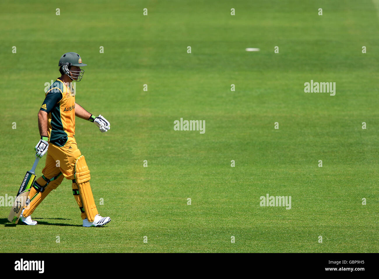 Cricket twenty 20 bat grill helmet grass full length hires stock