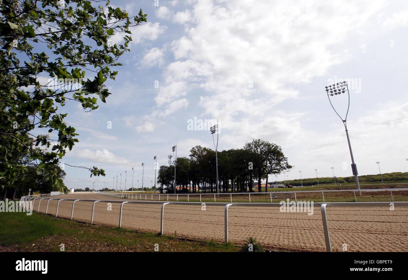 Horse Racing - Great Leighs Racecourse Stock Photo