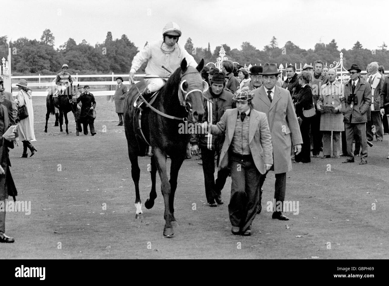 Is led in after winning the queen elizabeth ii stakes hires stock