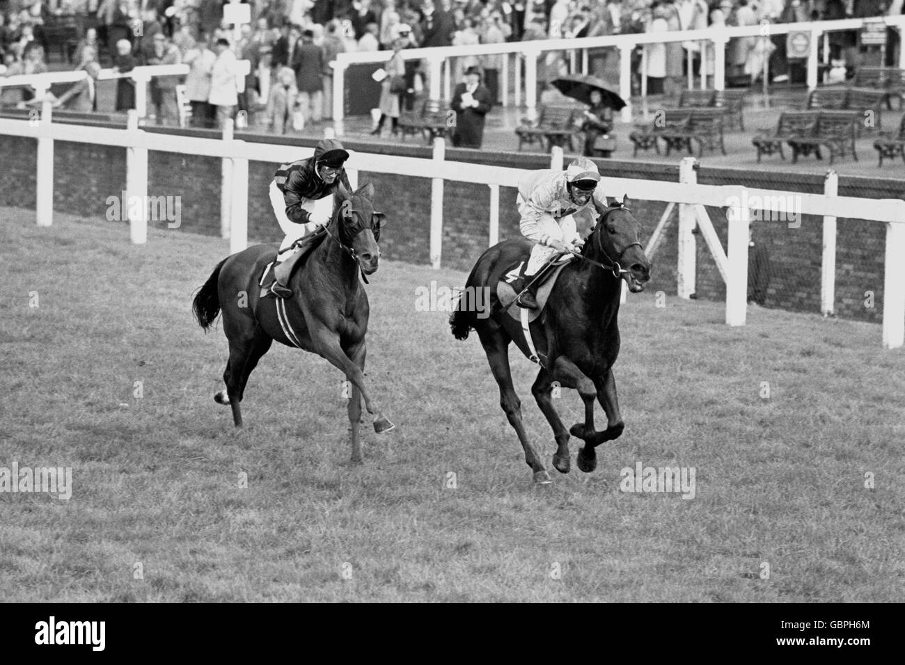 Horse Racing - Queen Elizabeth II Stakes - Ascot. To-Agori-Mou, Lester Piggott up, comes home to win ahead of Cracaval, G Baxter up Stock Photo