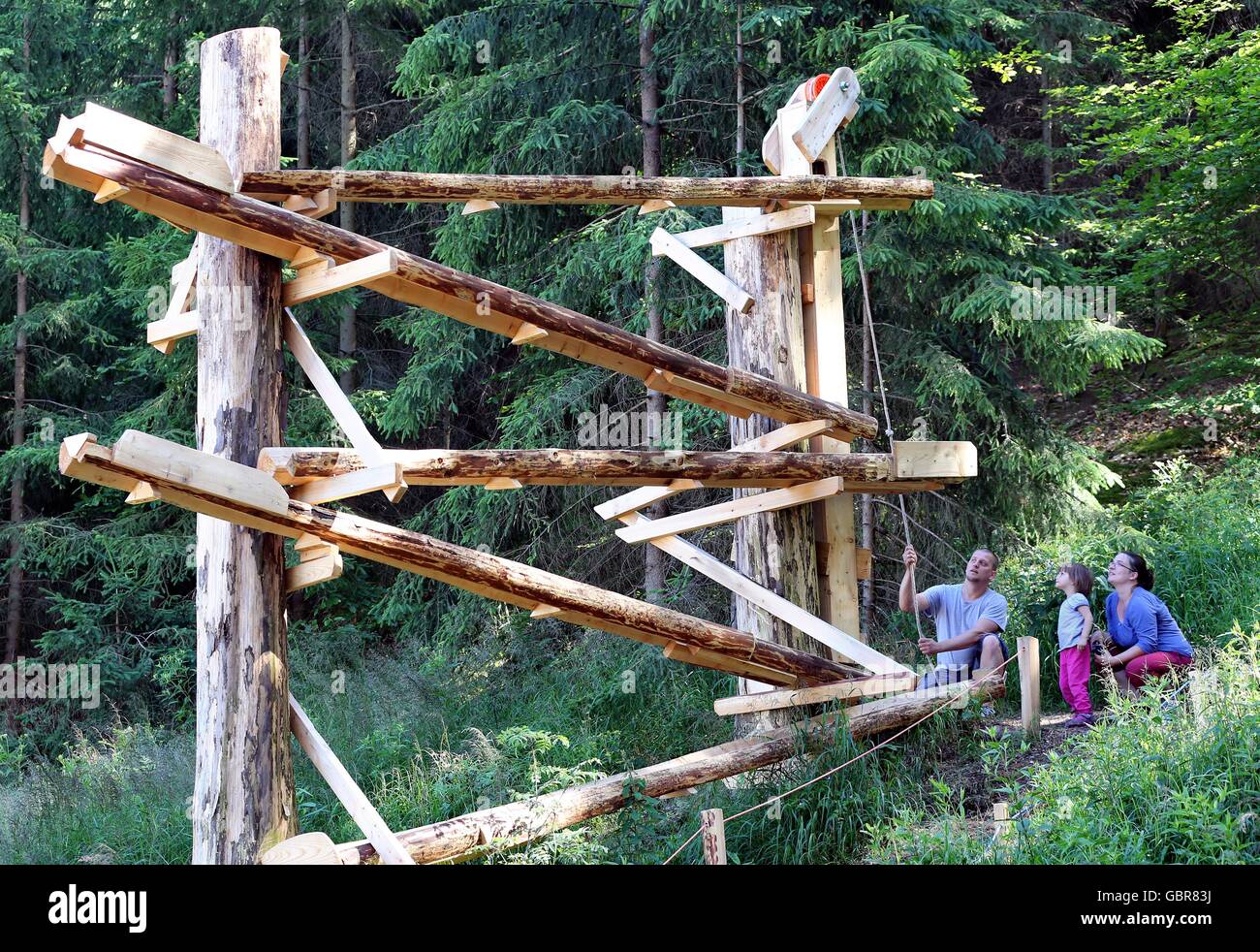 tree marble run