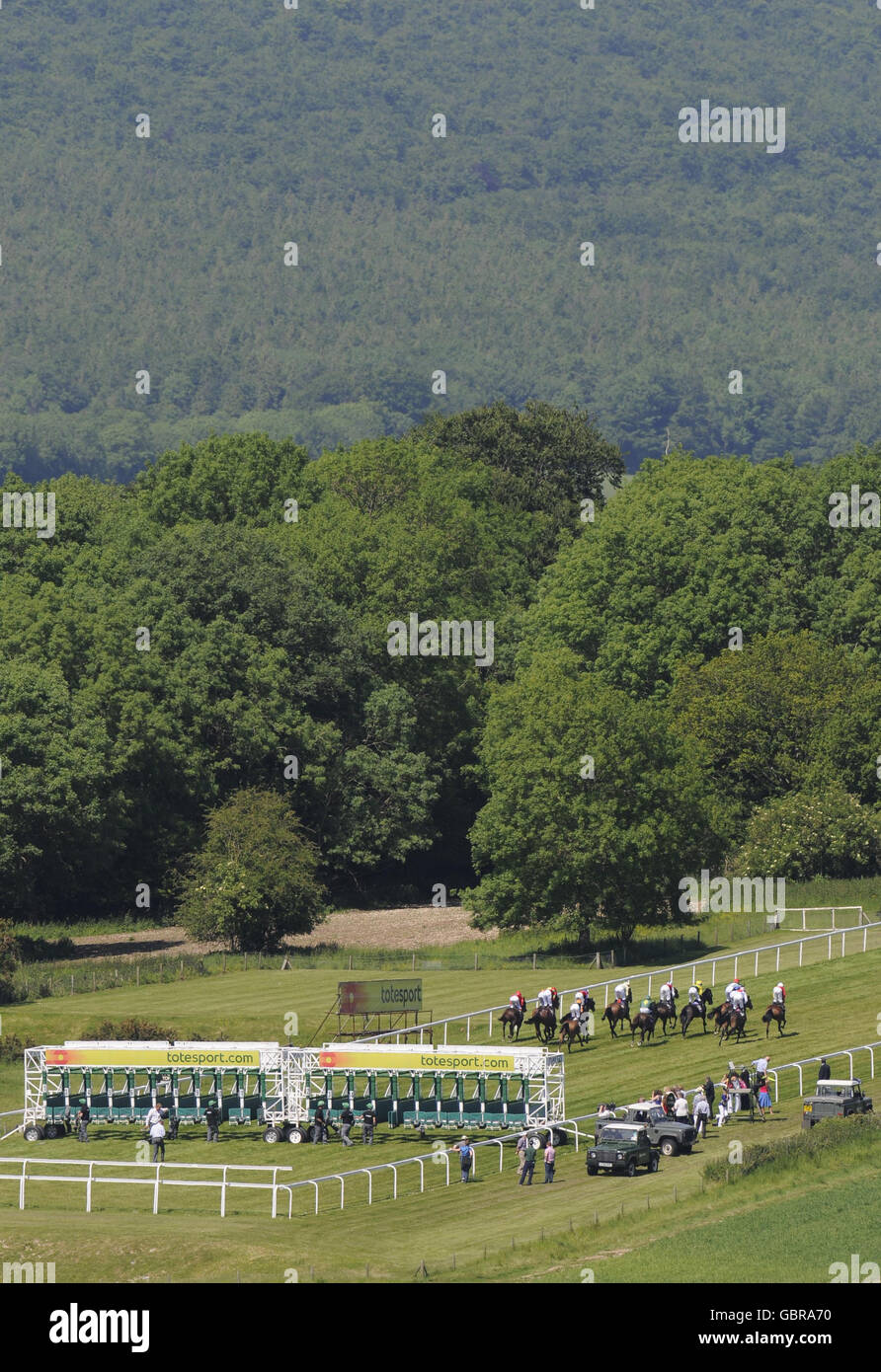 Runners and riders leave the stalls at Goodwood Racecourse. Stock Photo
