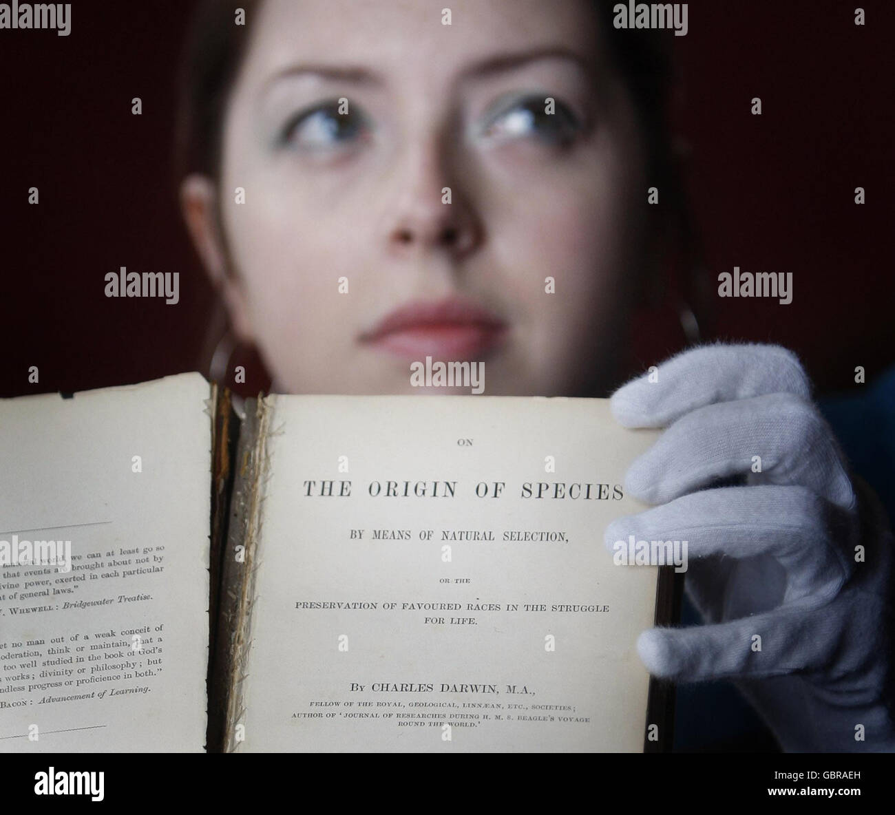 Darwin's The Origin of Species first edition auction Stock Photo Alamy