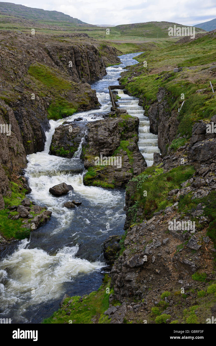 Salmon leap, waterfall, Steingrimsfjardarheidi, Westfjords, Westiceland