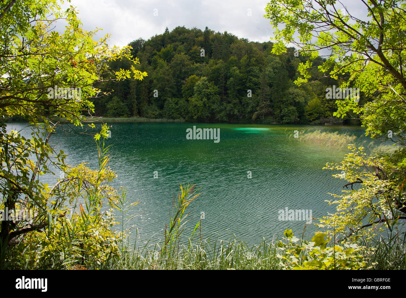 Plitvice Lakes National Park, Lika-Senj County, Croatia / Plitvicka Jezera Stock Photo