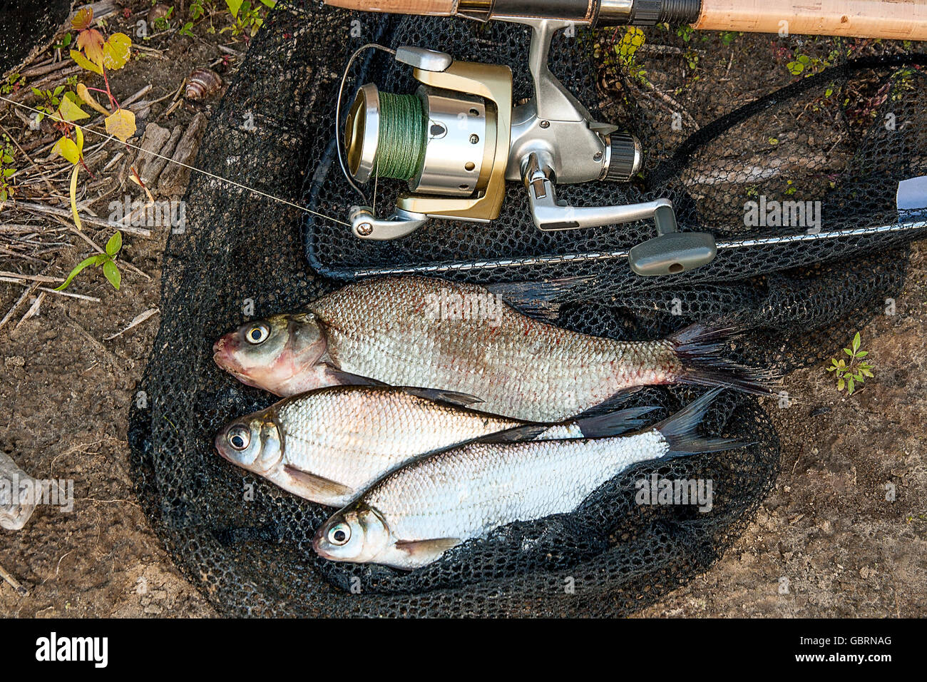 Close up fishing rod reel hi-res stock photography and images - Page 27 -  Alamy