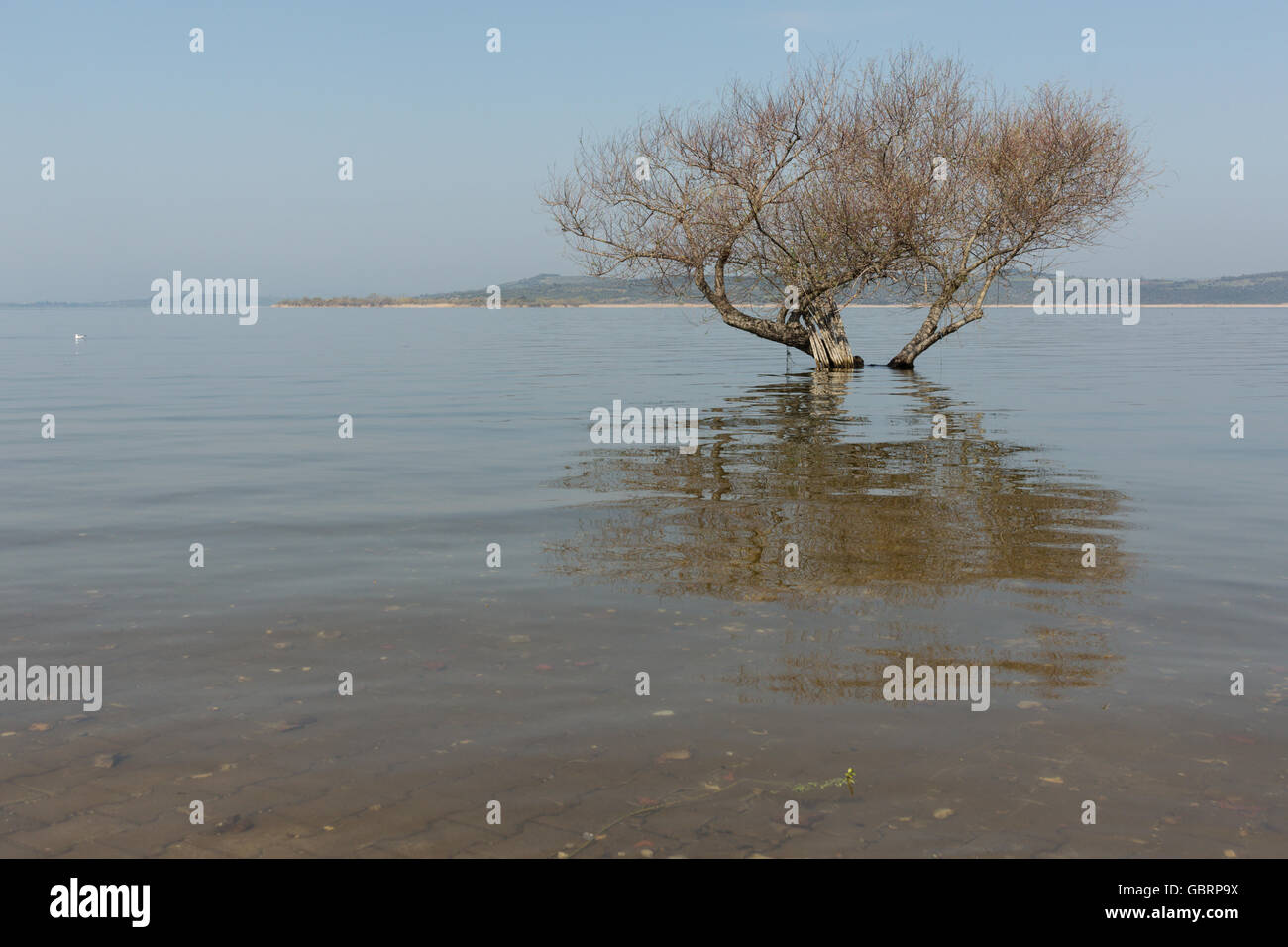 Ulubat lake hi-res stock photography and images - Alamy