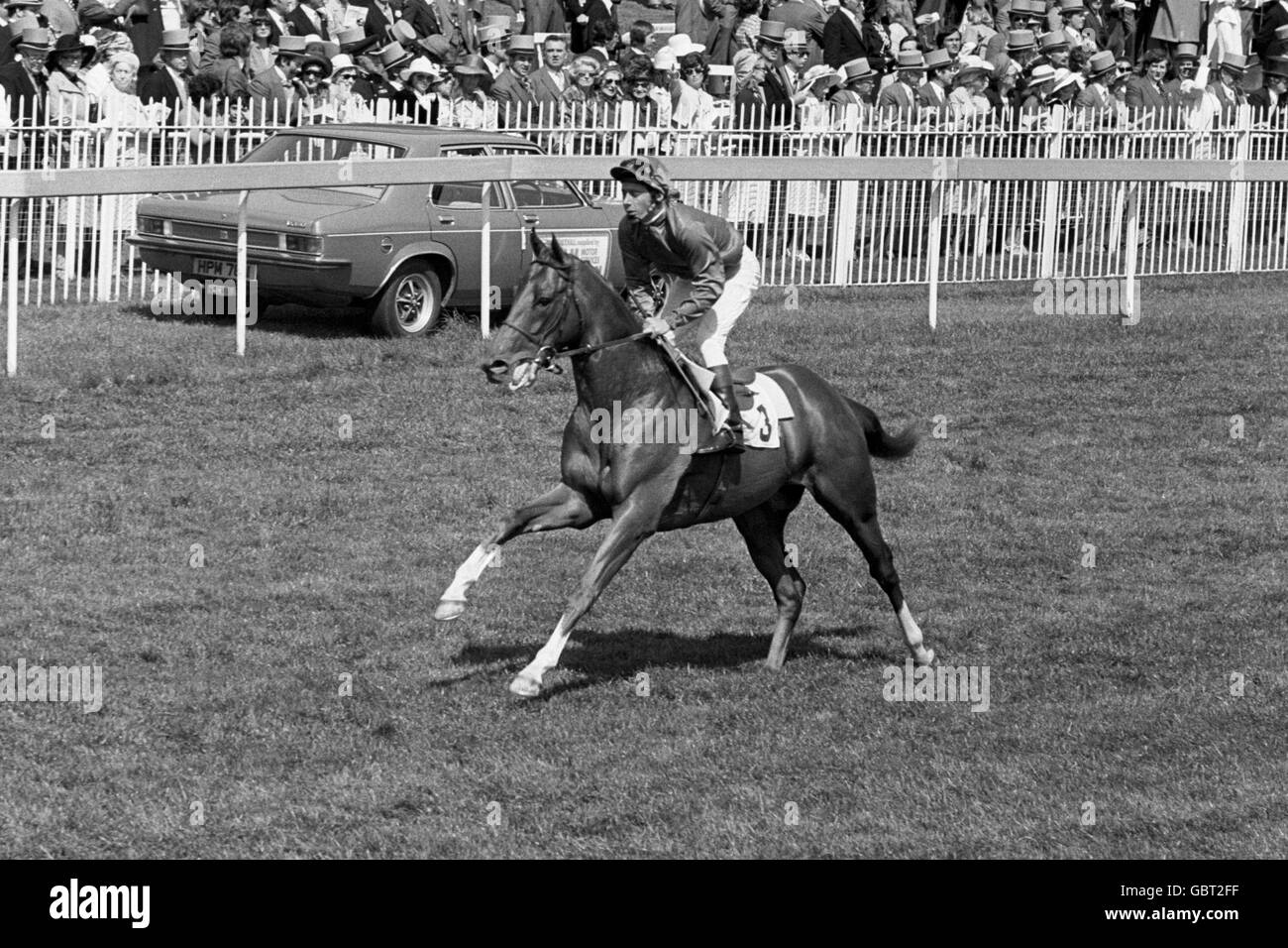 Blushing groom horse hires stock photography and images Alamy